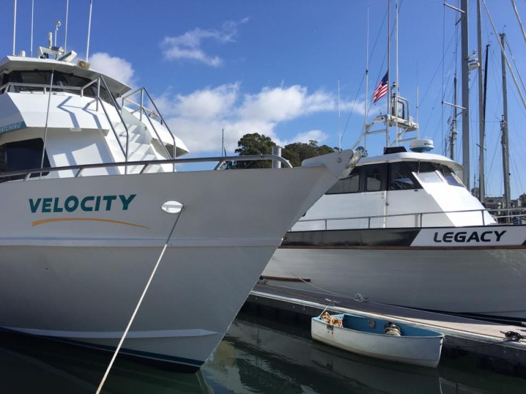 Legacy for Whale Watching in Monterey Bay California with Stagnaro Charters