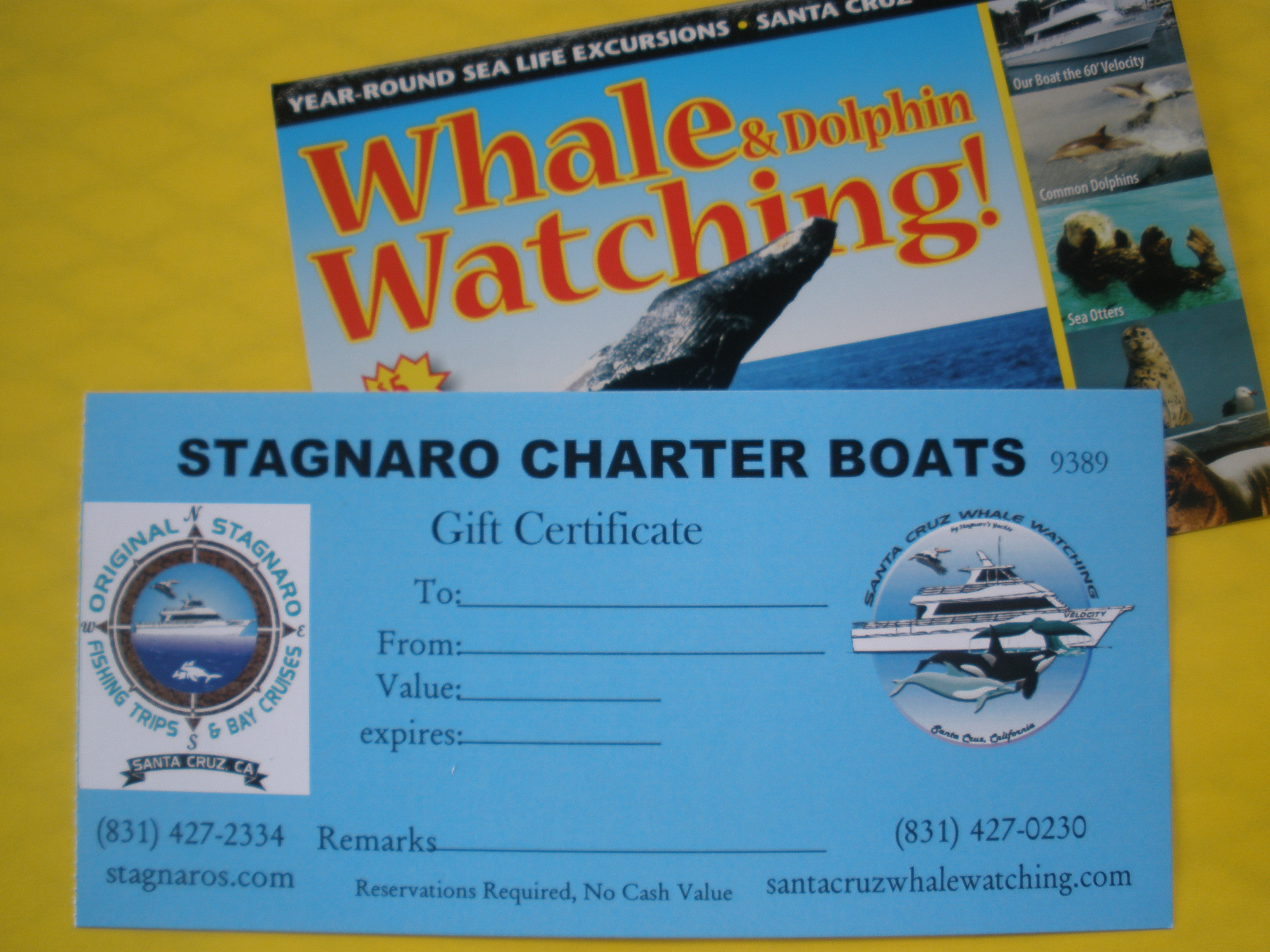 Gift Certificates while Whale Watching in Monterey Bay California with Stagnaro Charters