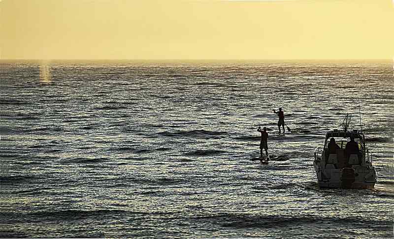 Whale while Whale Watching in Monterey Bay California with Stagnaro Charters